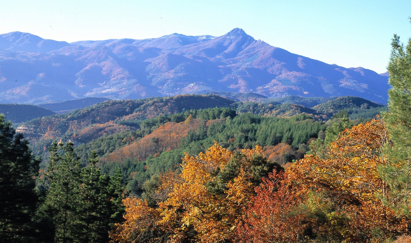 Un hermoso paisaje otoñal de montaña