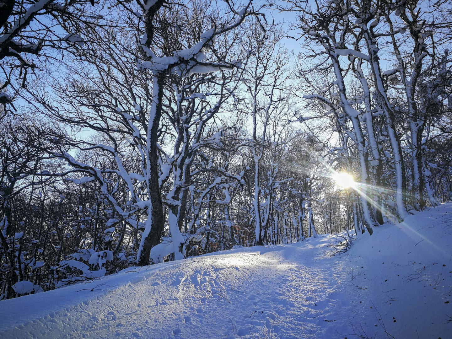 Raquetas de nieve: el senderismo de invierno